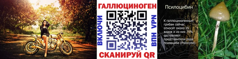 Галлюциногенные грибы Psilocybine cubensis Гуково